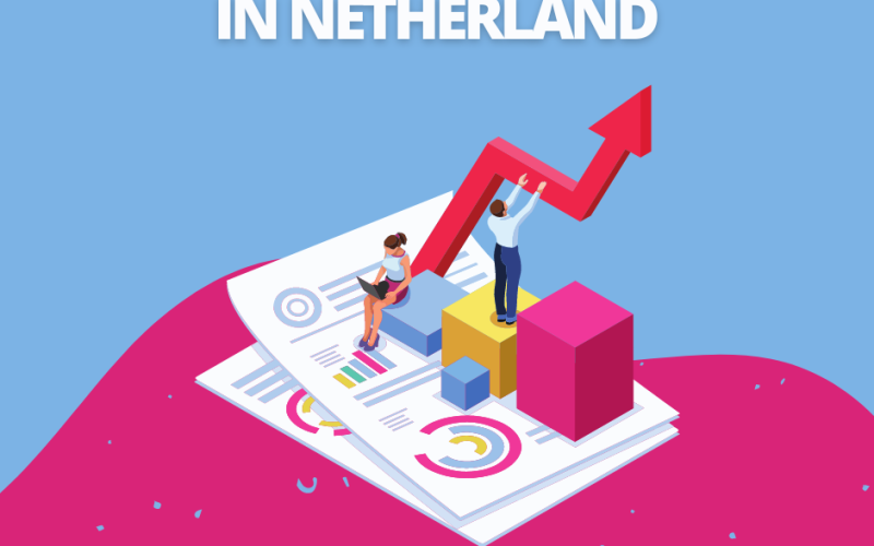 Link building bouwer in Netherland